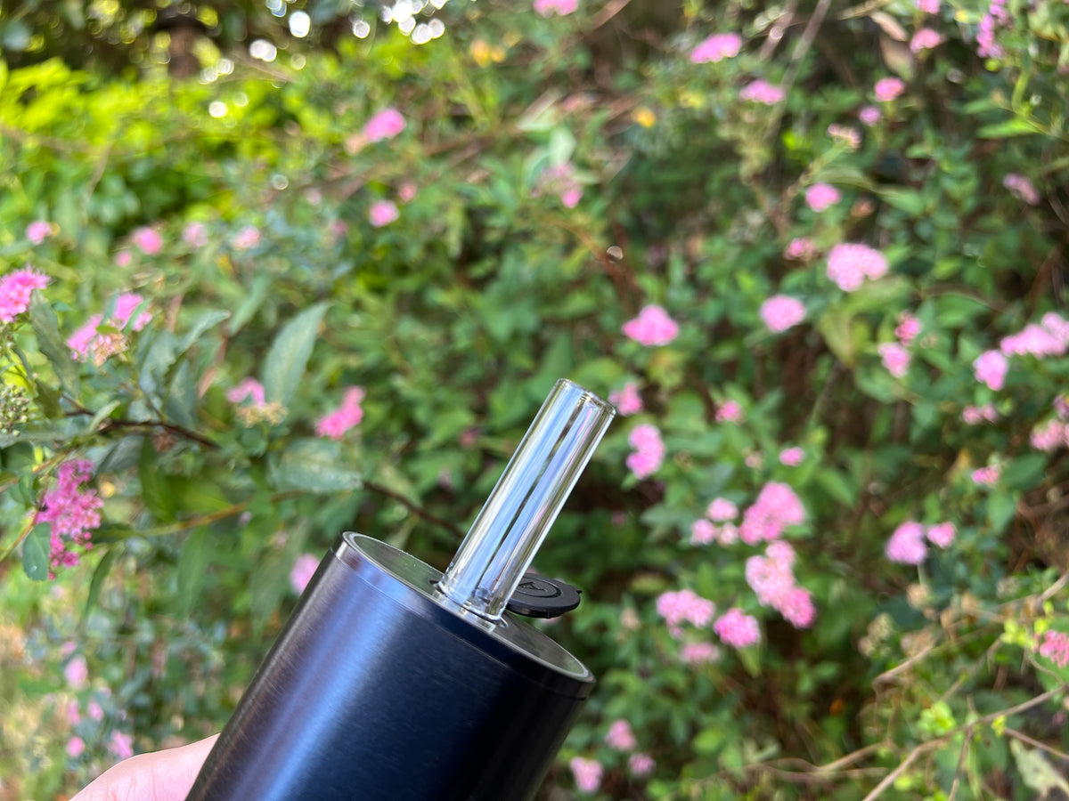 The 'Aero' Short Glass Stem (70mm, Pack of 2) for Arizer Solo 3 and Air Max
