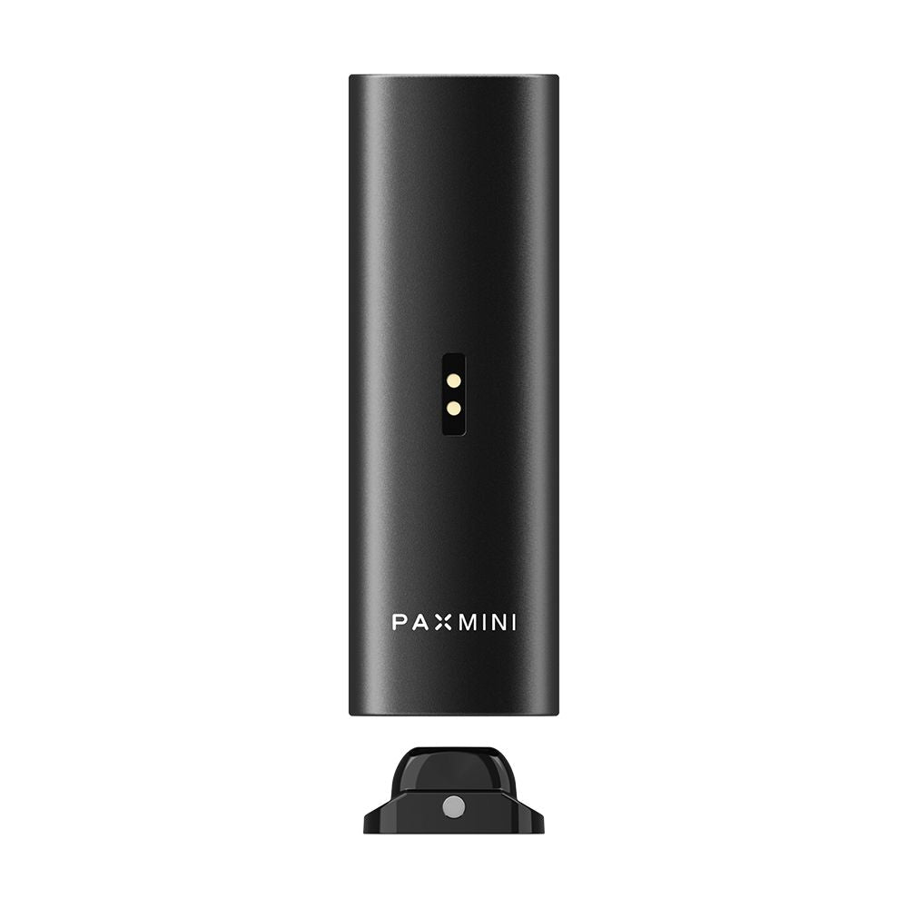 PAX Mini 2